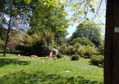 jardin des plantes