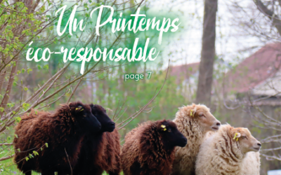 Beaumont Mag – Avril 2022